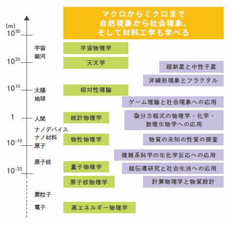 数理・物理コースで学ぶ分野の図
